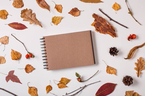Autumn background: fallen leaves, dry plants, blank sketchbook mock up with brown craft paper on white background. Top view. Flat lay.