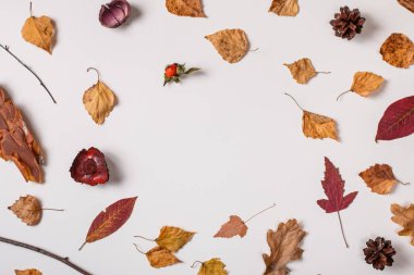 Metin için yer ile sonbahar kompozisyon: düşmüş yaprakları, Kuru bitkiler, pinecones beyaz arka plan üzerinde. Üstten görünüm. Düz yatıyordu.