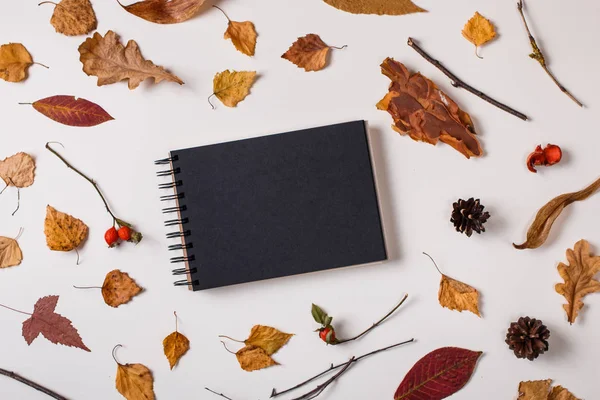 Sonbahar arka plan: düşmüş yaprakları, Kuru bitkiler, boş sketchbook siyah kağıt ile sahte beyaz arka plan üzerinde. Üstten görünüm. Düz yatıyordu.
