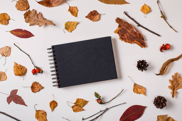 Autumn background: fallen leaves, dry plants, blank sketchbook mock up with black paper on white background. Top view. Flat lay.