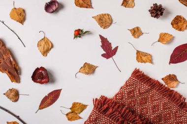 Sonbahar kompozisyon: düşen yapraklar, beyaz zemin üzerine eşarp ile Kuru bitkiler. Üstten görünüm. Düz yatıyordu.