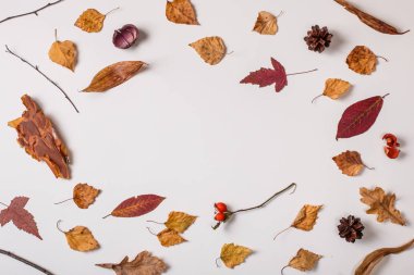 Sonbahar kompozisyon: düşen yapraklar, metin Merkezi için yer beyaz zemin üzerine kuru bitkiler. Üstten görünüm. Düz yatıyordu.