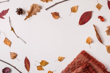 Sonbahar kompozisyon: düşmüş yaprakları, Kuru bitkiler ve turuncu eşarp merkezi metin için yer ile beyaz arka plan üzerinde. Üstten görünüm. Düz yatıyordu.