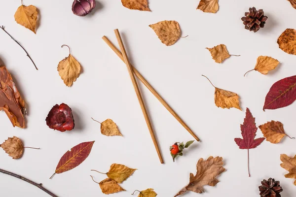 Asya chopsticks berry, sonbahar kuru yapraklar ve bitkiler tutun. Sonbahar kompozisyon beyaz arka plan üzerinde. Üstten görünüm, düz lay