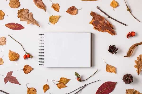 Autumn background: fallen leaves, dry plants, blank sketchbook mock up with white paper on white. Top view. Flat lay.