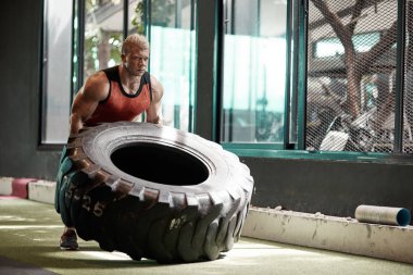 Büyük çabalar. Kendine güvenen genç diktatör lastik çevirme sırasında spor salonunda eğitim tam uzunlukta