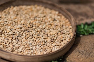 Değil kavrulmuş kahve çekirdekleri. Pahalı kahve