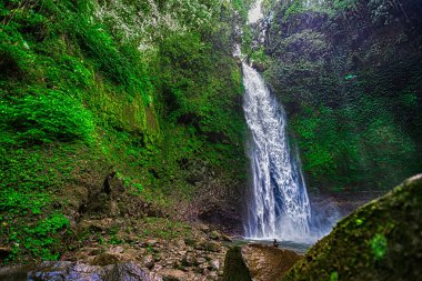 Şelale orman ortasında