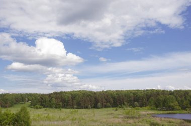 Doğa, yaz, ağaçlar, çimenler, yeşil, yeşil, gök, mavi, bulutlar, kırsal, peyzaj, arka plan, ekran koruyucu