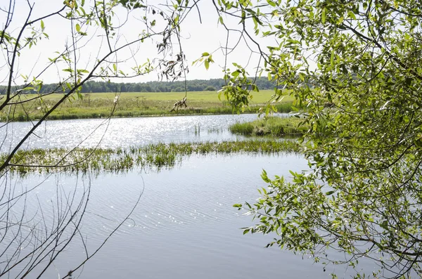 Eau Lac Paysage Nature Arbre Ciel Forêt Reflet Arbres Vert — Photo