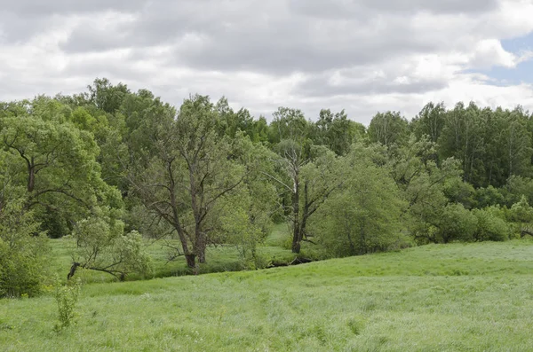 View Field — Stock Photo, Image