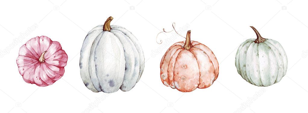 Beautiful pumpkins on isolated white background. Autumn set of elements on isolated white background. Watercolor illustration. Hand drawing. It is perfect for thanksgiving cards or posters, halloween 