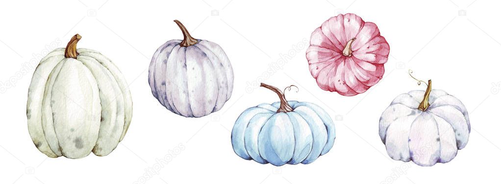 Beautiful pumpkins on isolated white background. Autumn set of elements on isolated white background. Watercolor illustration. Hand drawing. It is perfect for thanksgiving cards or posters, halloween. 