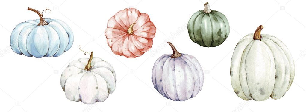 Beautiful pumpkins on isolated white background. Autumn set of elements on isolated white background. Watercolor illustration. Hand drawing. It is perfect for thanksgiving cards or posters, halloween. 