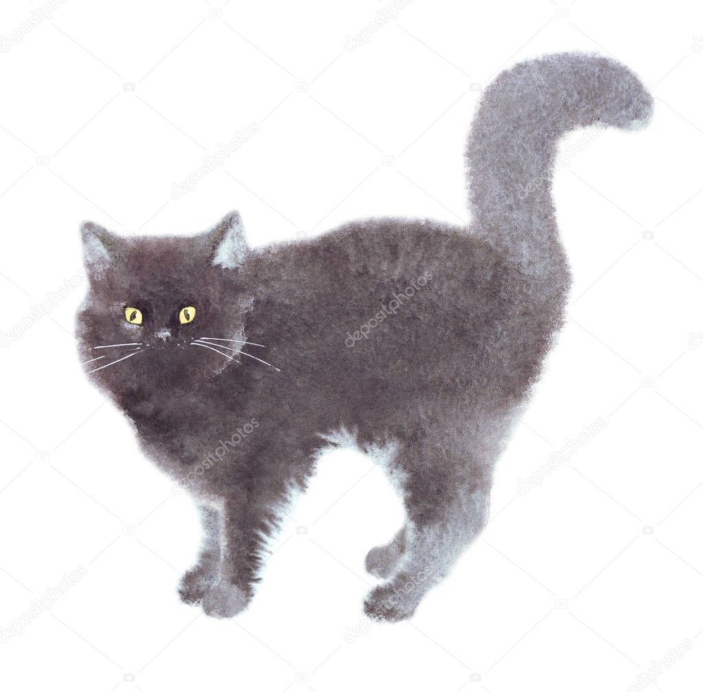 Hand drawn watercolor cute funny black cat on the white background. Isolated illustration. Little kitten character portrait. Symbol of good luck, wholeness, unity. 