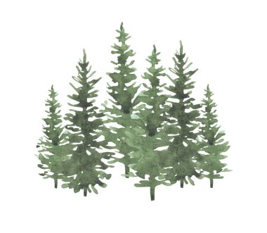 El yapımı suluboya kozalaklı orman çizimi, ladin. Kış doğası, tatil arka planı, kozalaklı ağaç, kar, açık hava, karlı kırsal arazi. Kış için esrarengiz köknar ya da çam ağaçları.