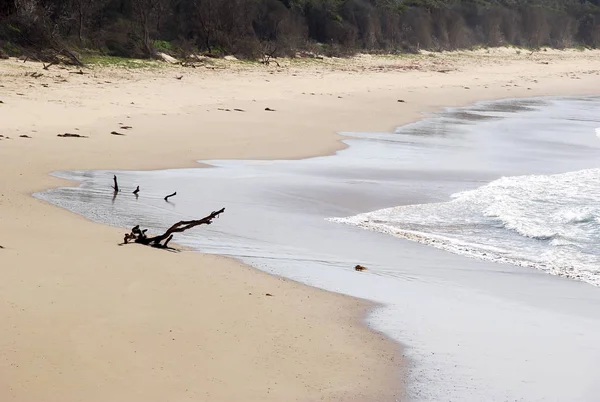 Sessiz küçük beach adlı Doğu Cape, Cape Conran, Avustralya