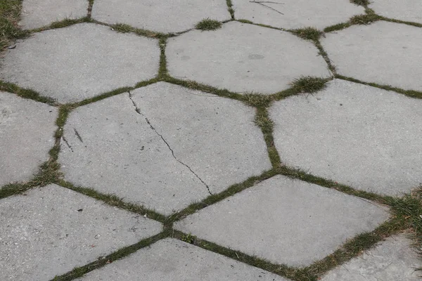 Тротуарная плита. Павинг — стоковое фото