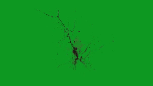 Blood Explosion High Quality Animated Green Screen Easy Editable Green — Stock video