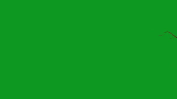 Blood Explosion High Quality Animated Green Screen Easy Editable Green — Stock Video