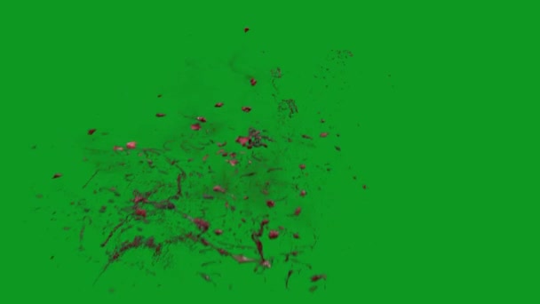 血液爆発高品質アニメーショングリーンスクリーン4K 簡単に編集可能なグリーンスクリーンビデオ 高品質のベクター3Dイラスト トップの選択 緑のスクリーンの背景 — ストック動画