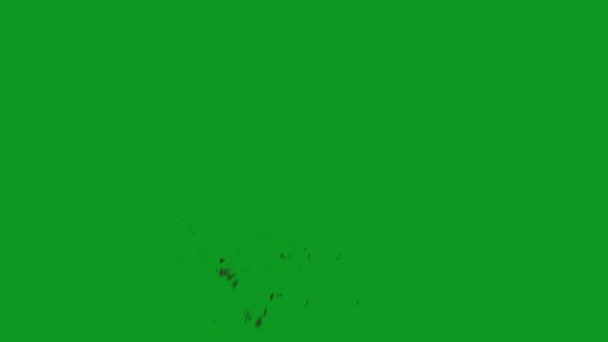 Eksplozja Krwi Wysokiej Jakości Animowany Zielony Ekran Łatwy Edycji Zielony — Wideo stockowe