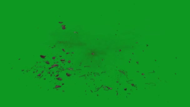 Blood Explosion High Quality Animated Green Screen Easy Editable Green — Stock video