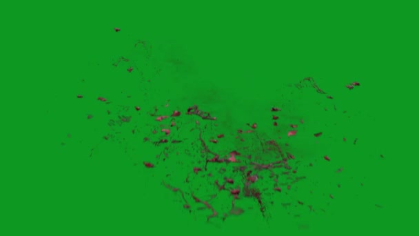 Blutexplosion Hoher Qualität Animierter Grüner Bildschirm Leicht Editierbares Grünes Bildschirm — Stockvideo