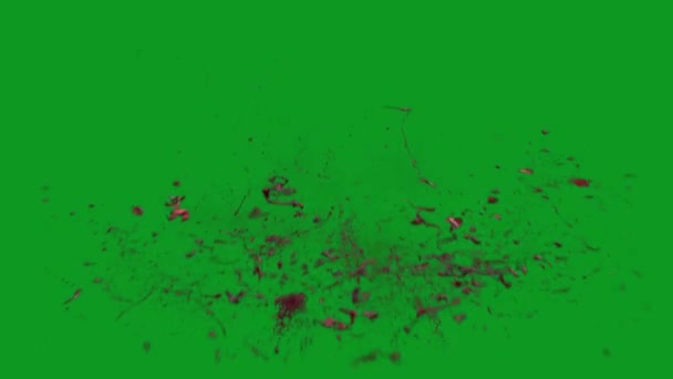 Blood Explosion High Quality Animated Green Screen Easy Editable Green — Stock video