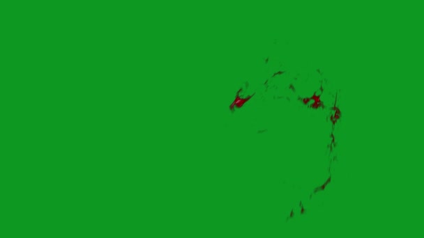 Blood Explosion High Quality Animated Green Screen Easy Editable Green — Stock video