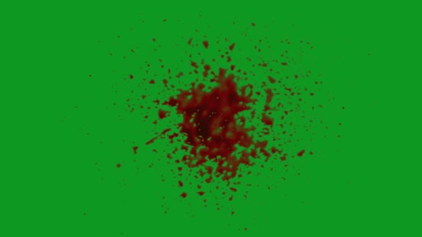 Blood Explosion Hit High Quality Animated Green Screen Easy Editable — Stock video