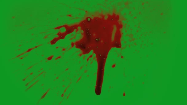 Explosão Sangue Atingiu Alta Qualidade Animado Tela Verde Fácil Editável — Vídeo de Stock