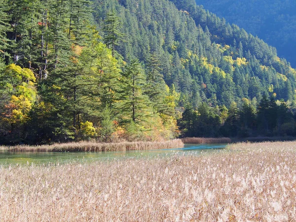 Güzel Jiuzhaigou. Doğa Saklıdır. Ulusal Park. . Chengdu ,