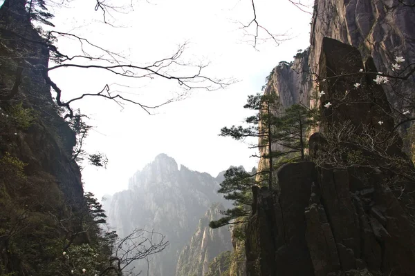 Fantástica vista deslumbrante da montanha Huangshan, Montanha Amarela. A — Fotografia de Stock