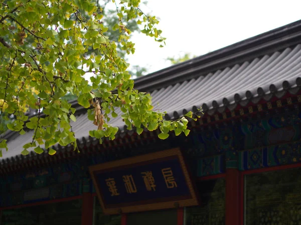 징코는 라마 사원이라는 단어와 나무 잎. 베이지에서 촬영 — 스톡 사진