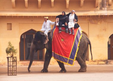 Amer Fort, Jaipur, Rajastan, Hindistan. 2012, Ocak, 2.