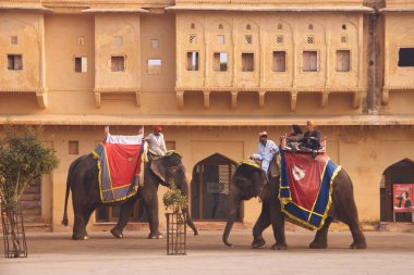 Amer Fort, Jaipur, Rajastan, Hindistan. 2012, Ocak, 2.
