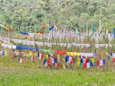 İnanç için Tibet Dua Bayrağı, barış, bilgelik, şefkat ve st