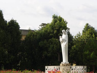 St Nicholas Of Bari Katedrali Dal bir Roma Katolik Kilisesi