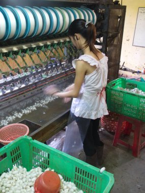 Da Lat City yerel köyde İpek Üretim Fabrikası. Tra