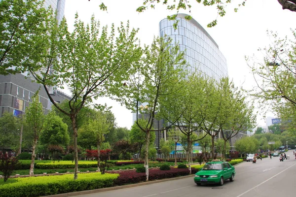 现代中国的树和道路。绿城区，新鲜 — 图库照片