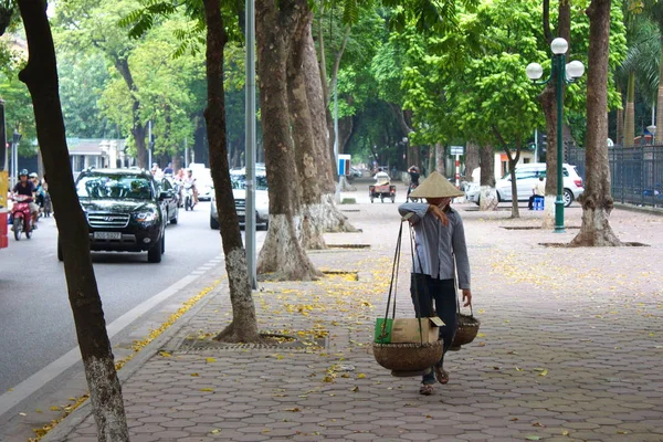 Bambu Sepeti ile Satıcı Ha Noi bir meyve satıyordu. Vietnam — Stok fotoğraf