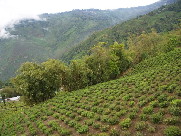 Darjeeling , Hindistan , 15 Nisan 2011 : Kabinden Havadan Görünüm — Stok fotoğraf