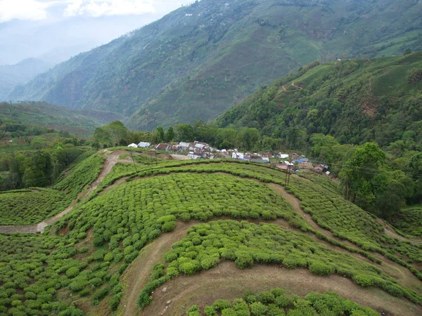 Darjeeling, INDIA, 15 APRILE 2011: Vista aerea dalla cabinovia — Foto Stock