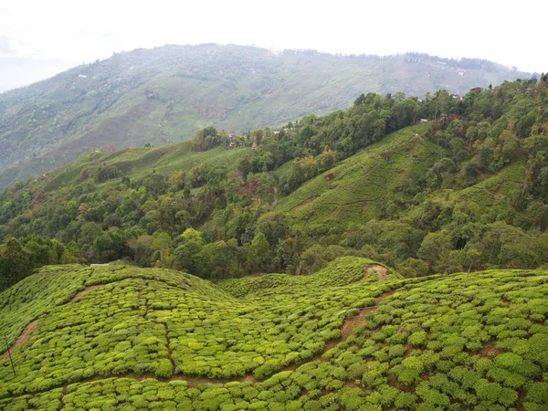 Darjeeling , Hindistan , 15 Nisan 2011 : Kabinden Havadan Görünüm — Stok fotoğraf