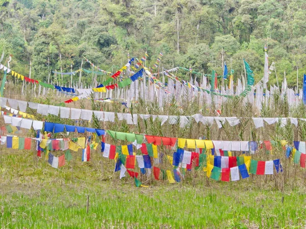 Bandeira de Oração Tibetana pela Fé, Paz, Sabedoria, Compaixão e — Fotografia de Stock