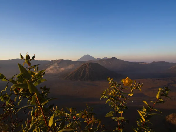 Mount Bromo volcano, the Amazing view of Bromo Mountain located — Stock Photo, Image