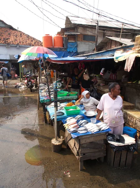 Vida em Pasar Ikan e Muara Karang, um mar de peixes Jakarta histórico — Fotografia de Stock