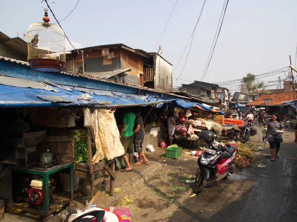 Vida em Pasar Ikan e Muara Karang, um mar de peixes Jakarta histórico — Fotografia de Stock