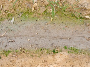 Bir yaprak ile Kirli Kuru Tuzlu Toprak Grunge Yüzey. Soyut Backg